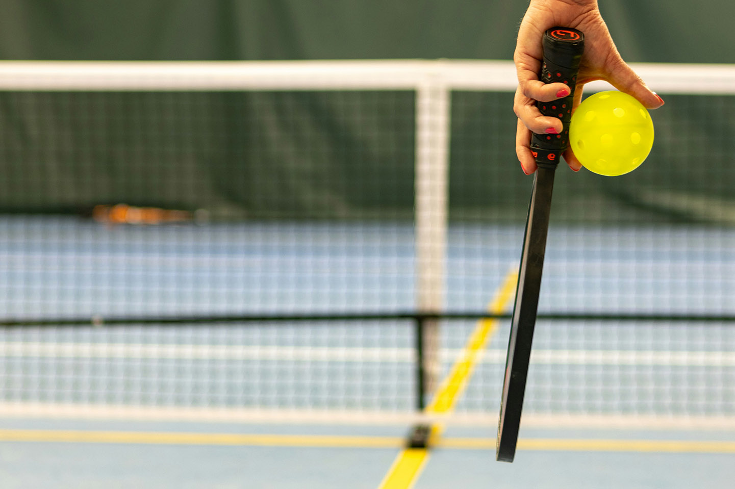 Read more about the article Pickleball